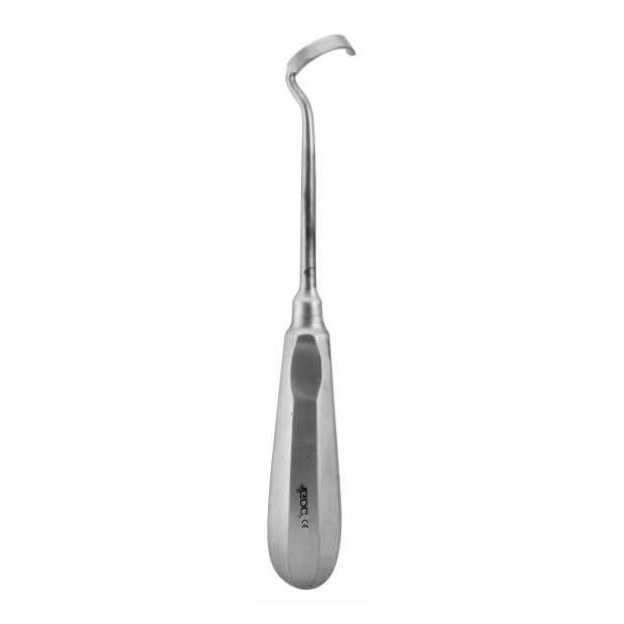 PALATE DISSECTOR RIGHT CPDR GDC | DentalMart
