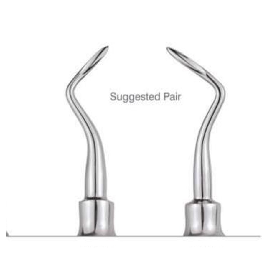 ROOT ELEVATORS FLOHR STANDARD (Right) E3F GDC | DentalMart