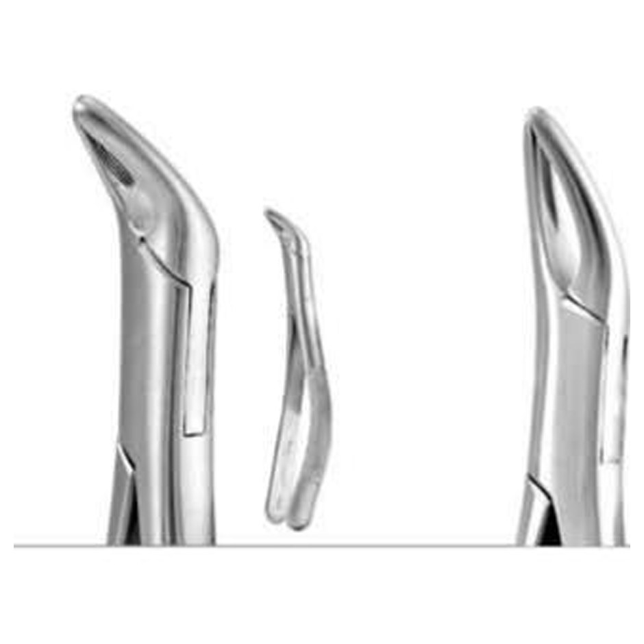 AMERICAN FORCEP CRYER UNIVERSAL LOWER INCISORS, CANINES,PREMOLAR & ROOTS 151 F151 GDC | DentalMart