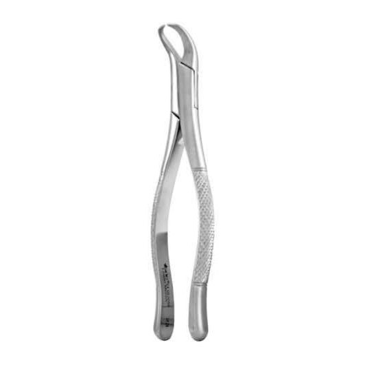 AMERICAN FORCEP COWHORN FIRST & SECOND LOWER MOLARS 23 F23 GDC | DentalMart