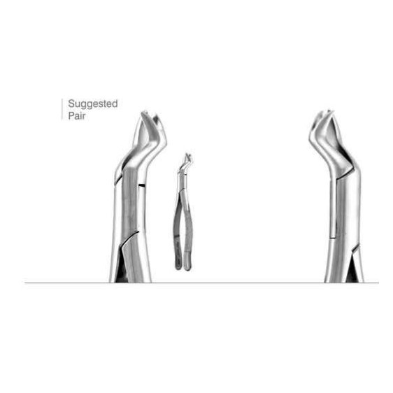 AMERICAN FORCEP NEVIUS FIRST & SECOND UPPER MOLAR TEETH RIGHT 88R F88R GDC | DentalMart