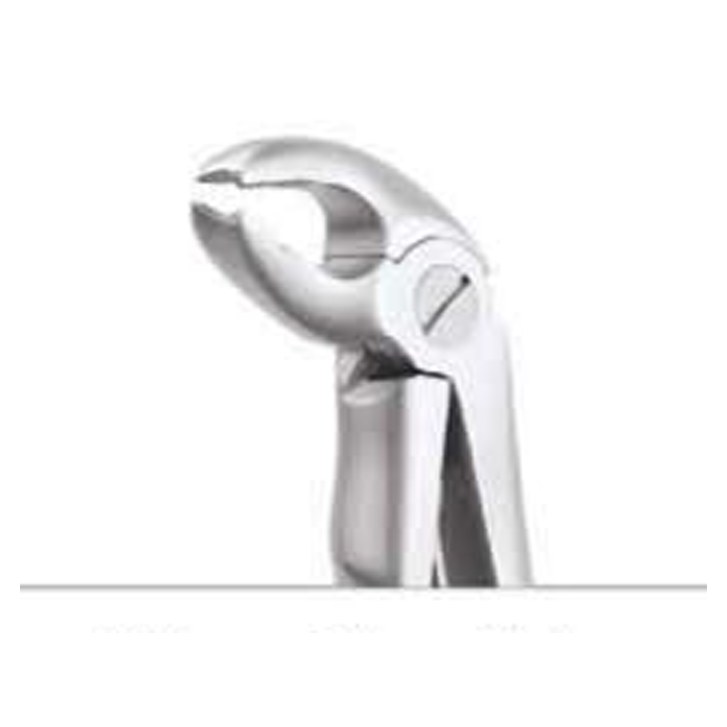 TOOTH FORCEPS PEEDO PREMIUM FX2CP GDC | DentalMart