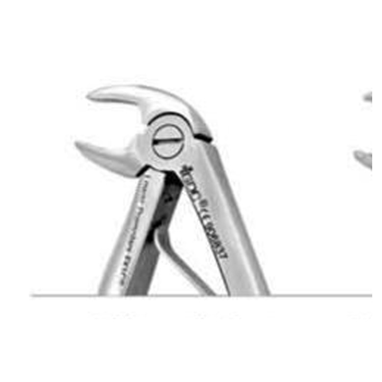 TOOTH FORCEPS PEEDO STANDARD FX2CS GDC | DentalMart