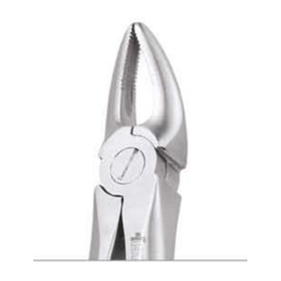 TOOTH FORCEPS STANDARD FX30S GDC | DentalMart
