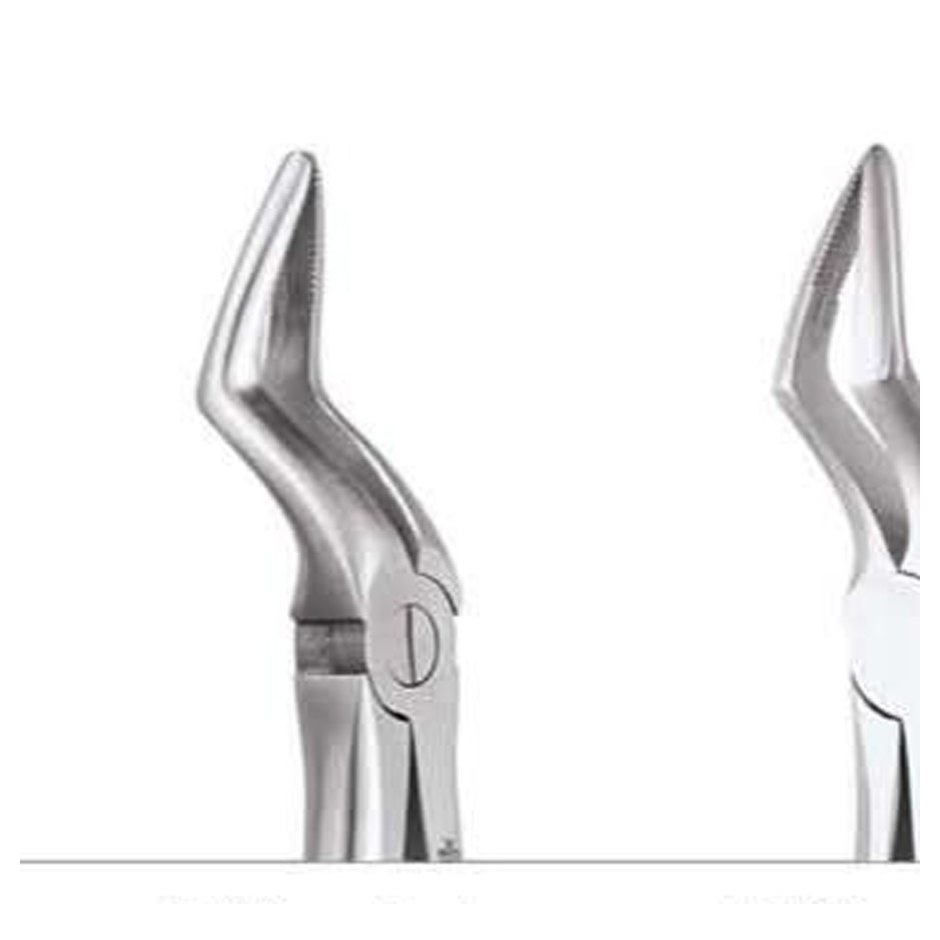 TOOTH FORCEPS STANDARD FX51S GDC | DentalMart