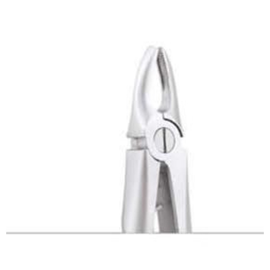 TOOTH FORCEPS PEEDO PREMIUM FX5CP GDC | DentalMart
