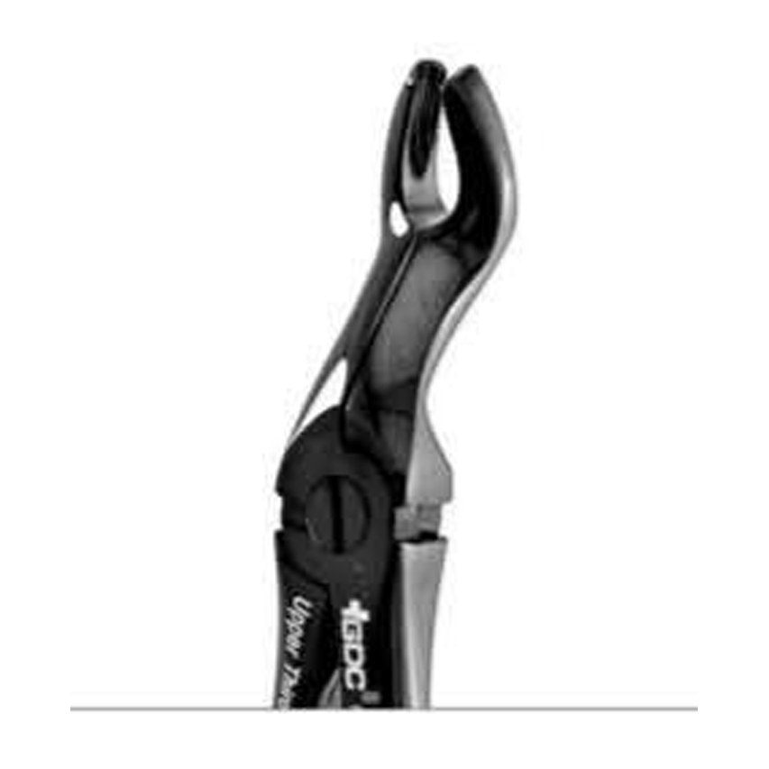 EXTRACTION FORCEPS BLACK LINE FX67AB GDC | DentalMart