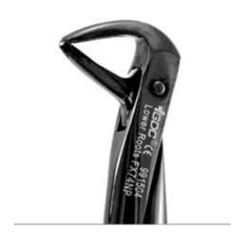EXTRACTION FORCEPS BLACK LINE FX74NB GDC | DentalMart