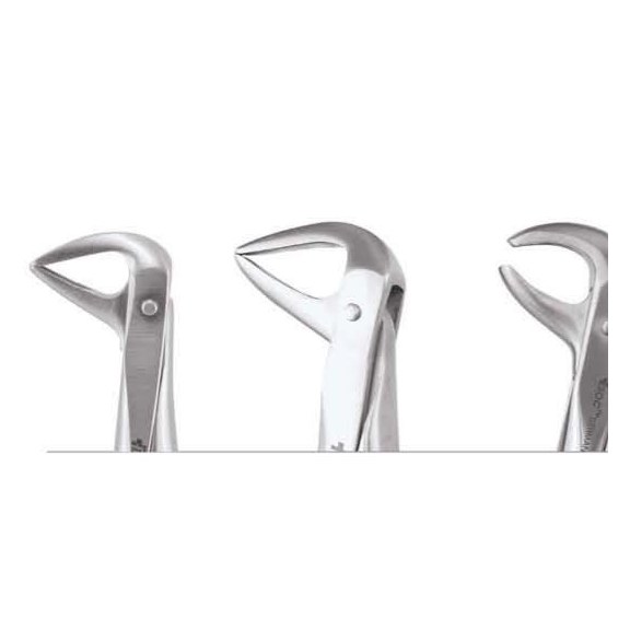 TOOTH FORCEPS ERGONOMIC FX74NE GDC | DentalMart