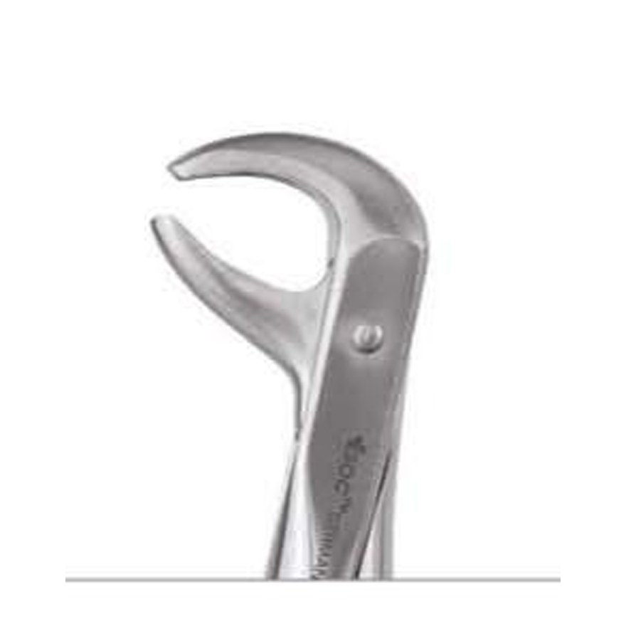 TOOTH FORCEPS STANDARD FX75S GDC | DentalMart