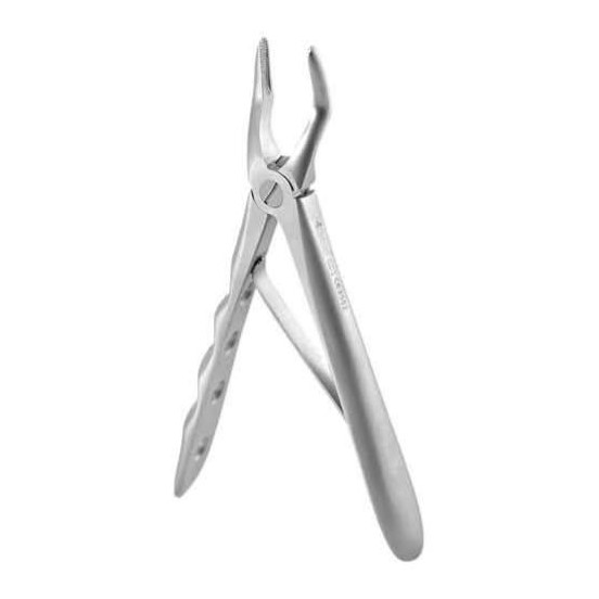 TOOTH FORCEPS PEEDO PREMIUM FX7CP GDC | DentalMart