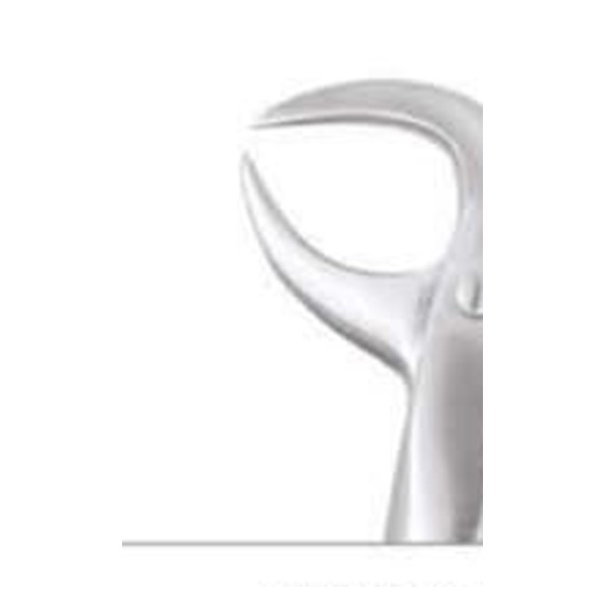 TOOTH FORCEP STANDARD FX86BS GDC | DentalMart