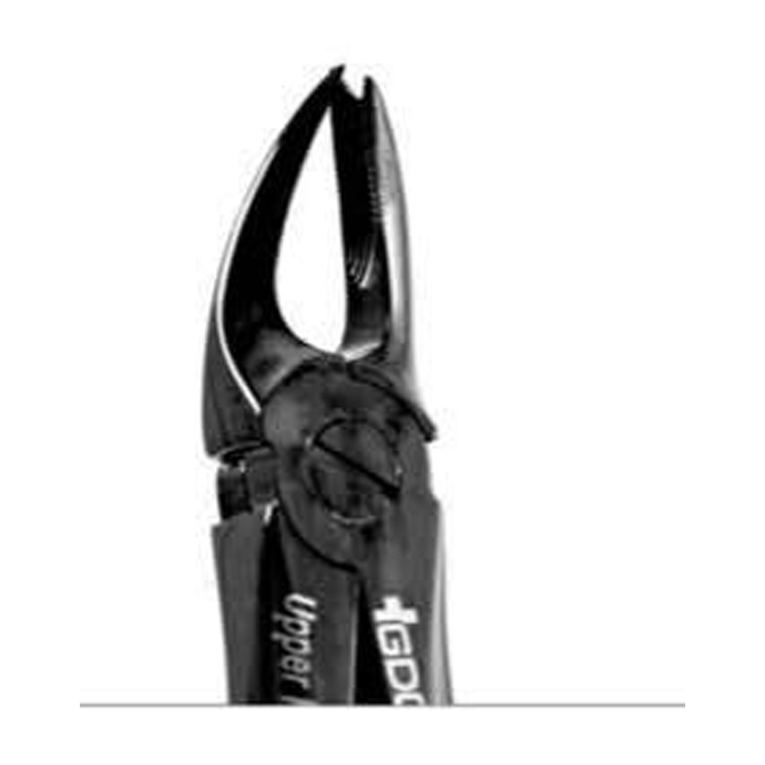 EXTRACTION FORCEPS BLACK LINE FX89B GDC | DentalMart