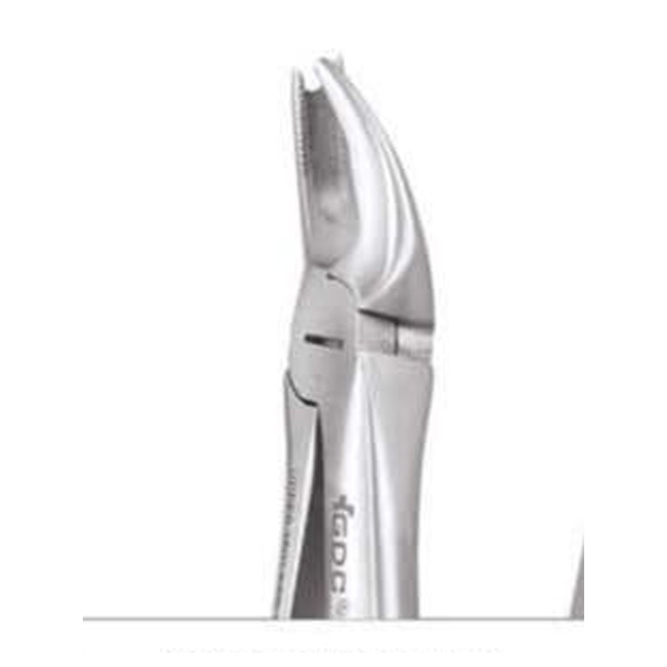TOOTH FORCEPS STANDARD FX90S GDC | DentalMart