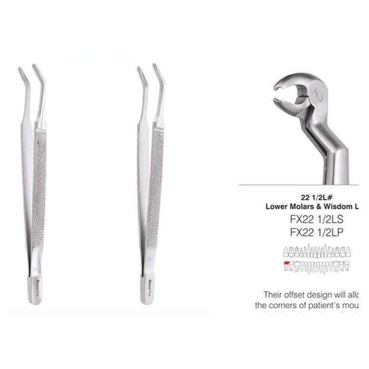 ALBRECHT FORCEPS 2 FXA2 GDC | DentalMart