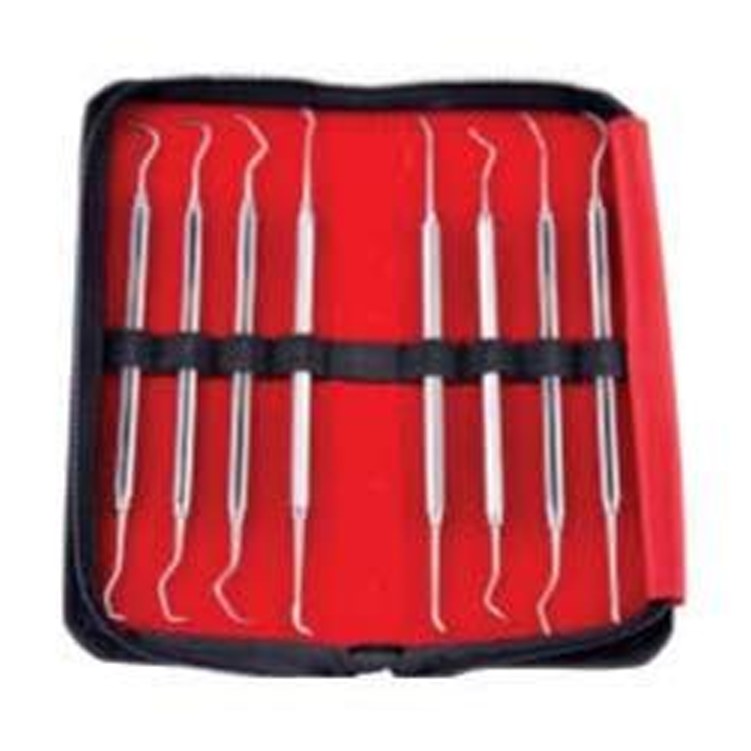 PERIO SCALER (SOLID RING HANDLE) S/8 3 PSP8 3 GDC | DentalMart