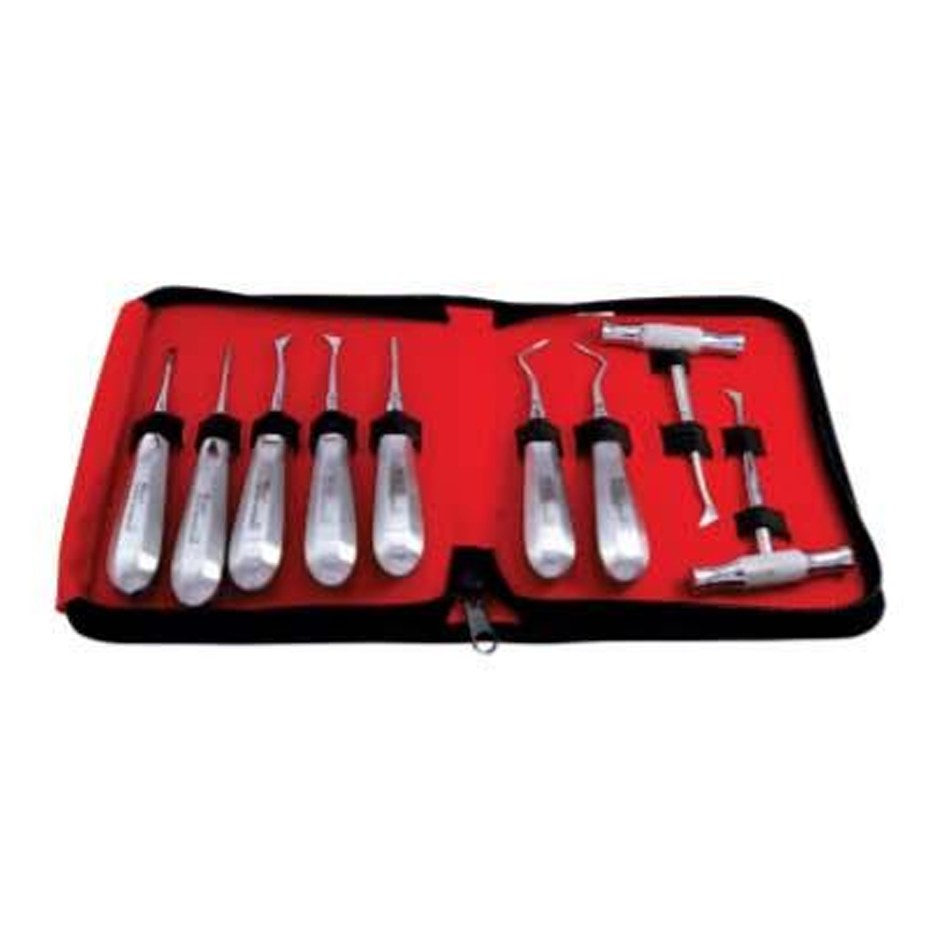 ROOT ELEVATORS STANDARD W CROSS BAR S/9 POUCH RESP9 GDC | DentalMart