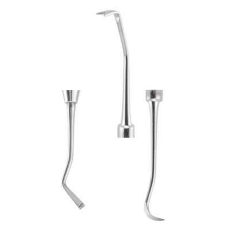 SCALERS BIFID 3 (Solid Ring Handle) SB4/8 3 GDC | DentalMart