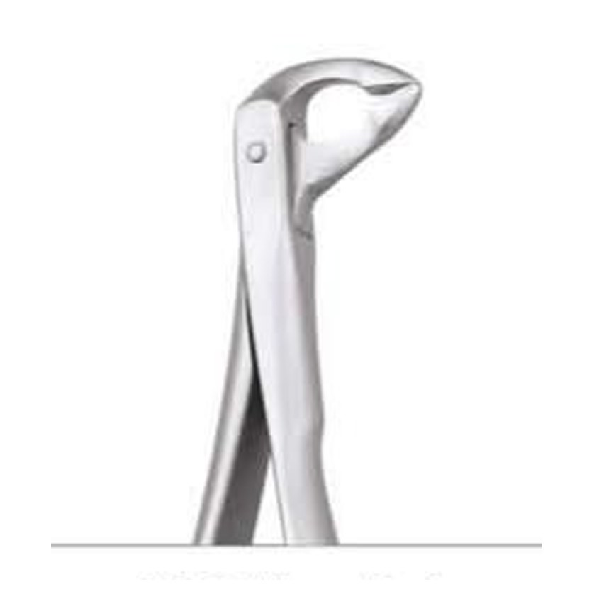 TOOTH FORCEPS SECURE SFX974.00 GDC | DentalMart